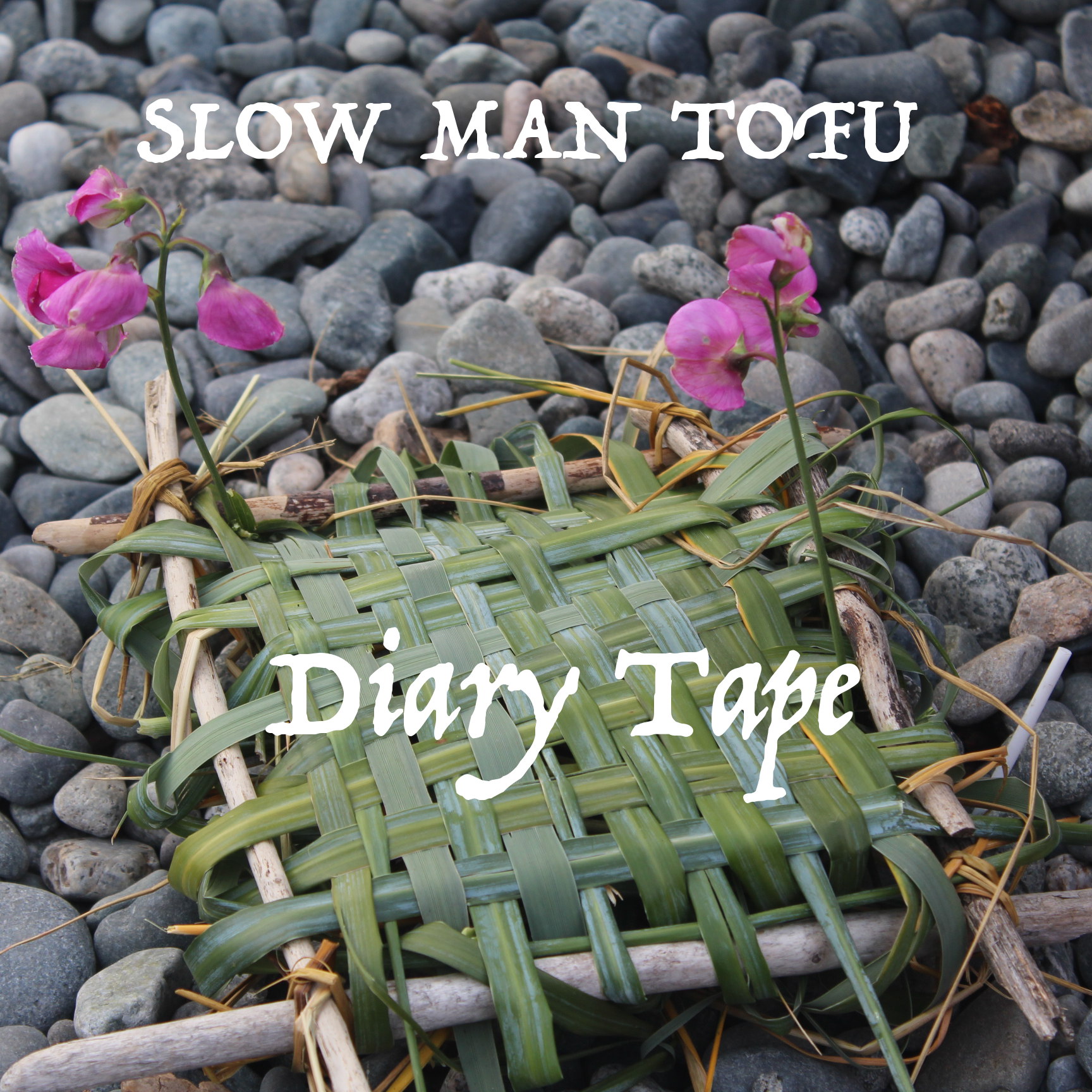 Diary Tape album cover